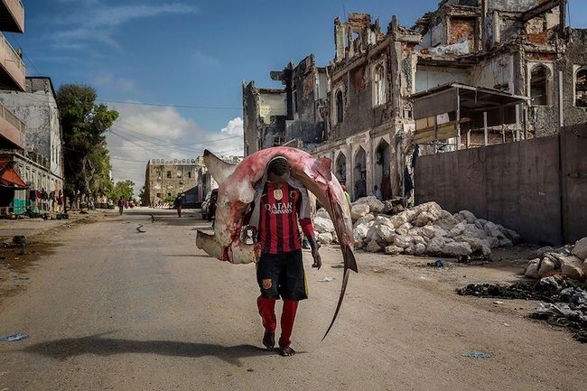 Tout sur les prix photo