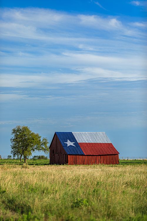 A vertical composition of the famous Texas Flag barn in Bruce-Eddy under a bright, clear blue sky with a lone tree