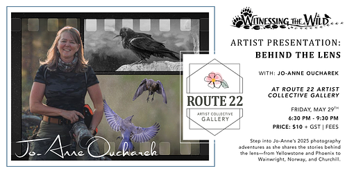 Witnessing the Wild - Behind the Lens