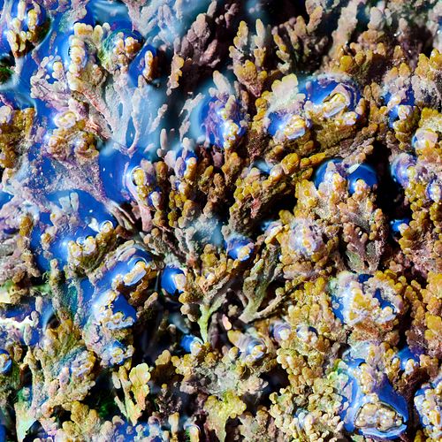 Scouting trip voor Denemarken/Jutland