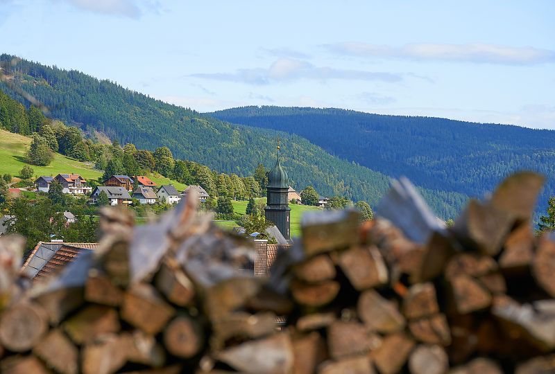SCHWARZWALD
