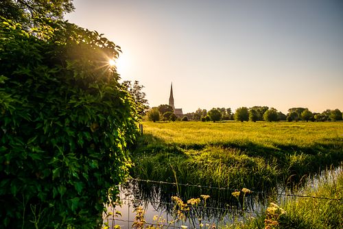 Cathedral Views from Harnham Water Meadows