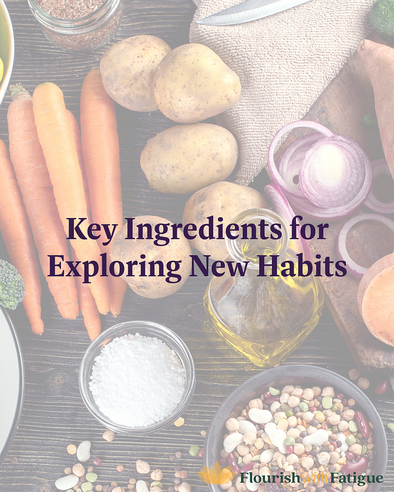 Key Ingredients for Exploring New Habits