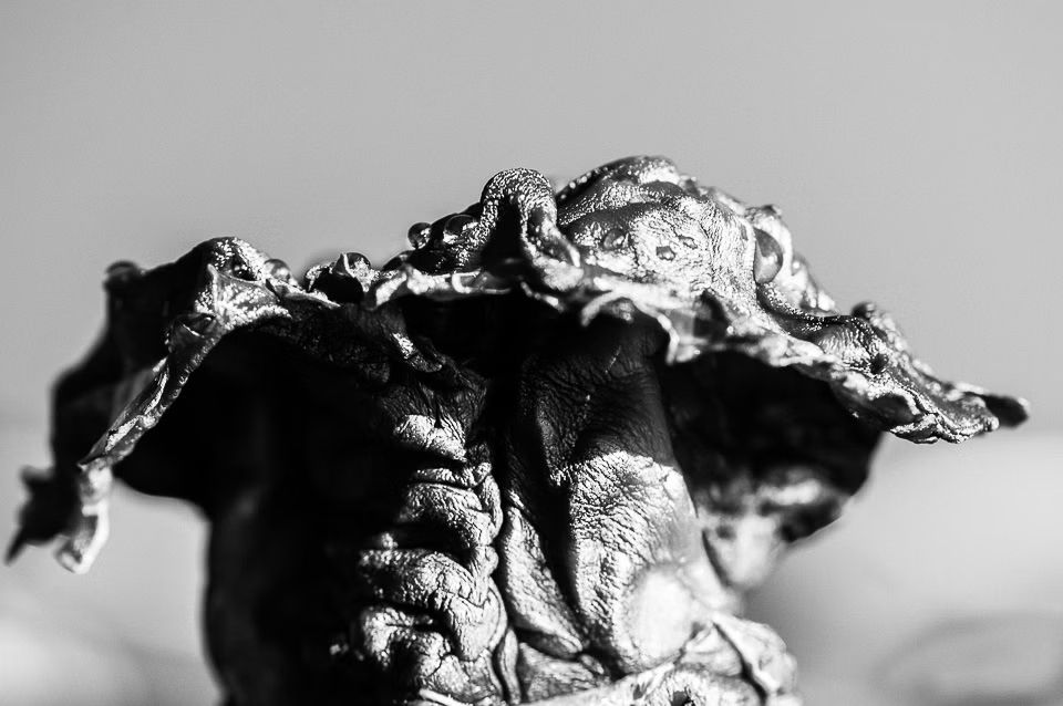 Martha Guti&eacute;rrez