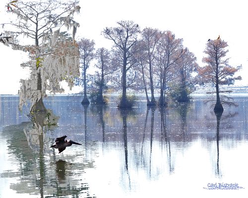 Lake abstract in fall, Japanese style, trees, pelican