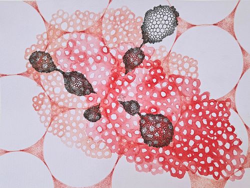 Untitled (2025)