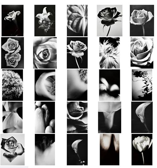 Hello, I am Elizabeth Barnes, a visual artist from Melbourne, Australia