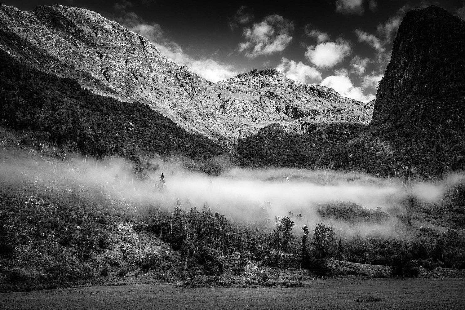 Thomas Upton Photography