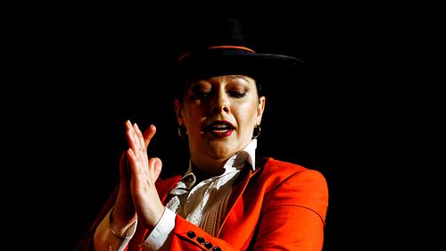 Danseuse de Flamenco en Andalousie