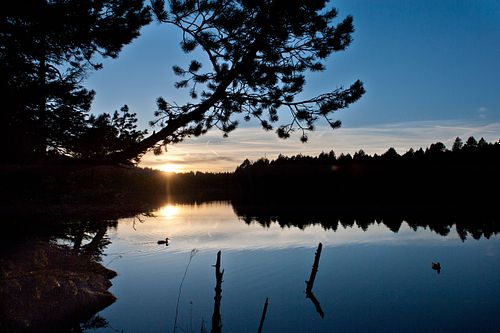 Kapelle Wilder Geschinen