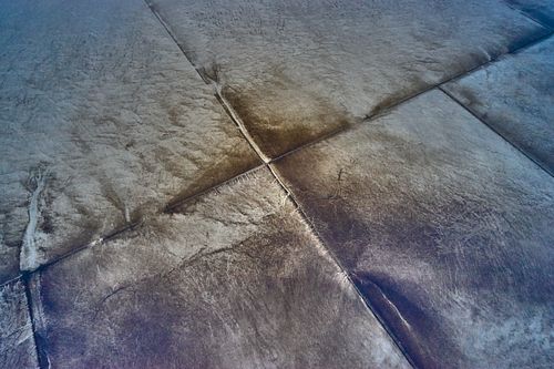 Waddenmidweek 23-27augustus 2021