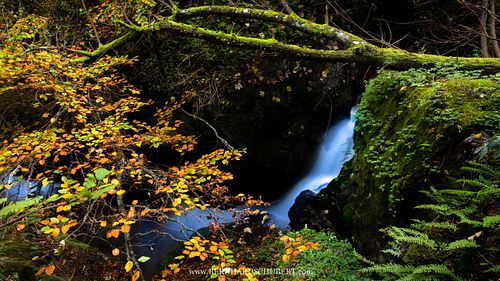 Herbst in der Ysperklamm