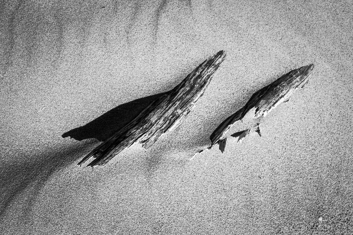 Ilford PAN F Plus 50 ISO Lot De 5 Films Photo Ilford PAN F Plus - Noir Et Blanc ISO 50 36 Poses Film ISO 50