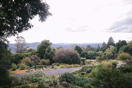 Wedding Ceremony at Blue Mountains Botanic Garden Mount Tomah