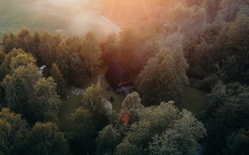 Misty forest landscape near Two Black Cabins in Latvia