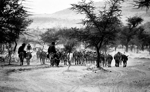 Bandiagara | Mali | 1997