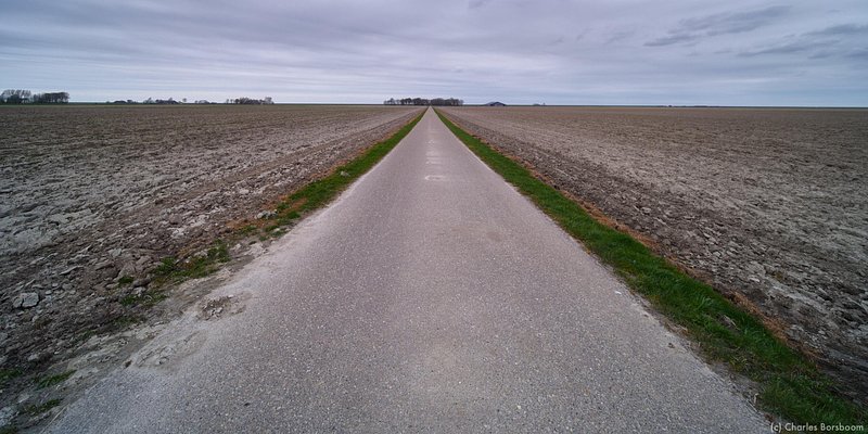 The Next Step (20 - 22 november 2026)