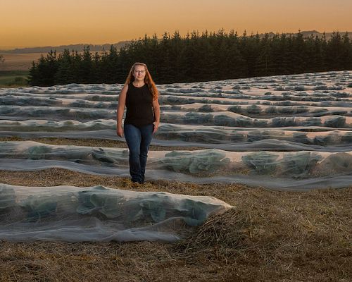 Let's work together!