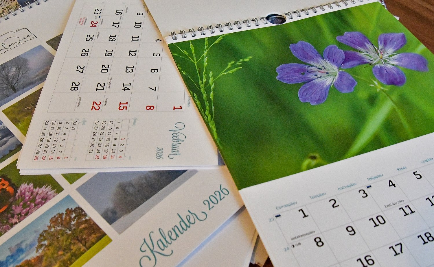 Peep Saluvee
