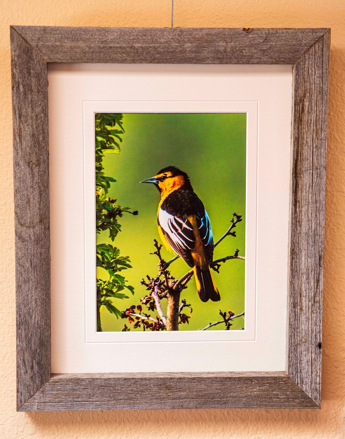 small format framed examples
