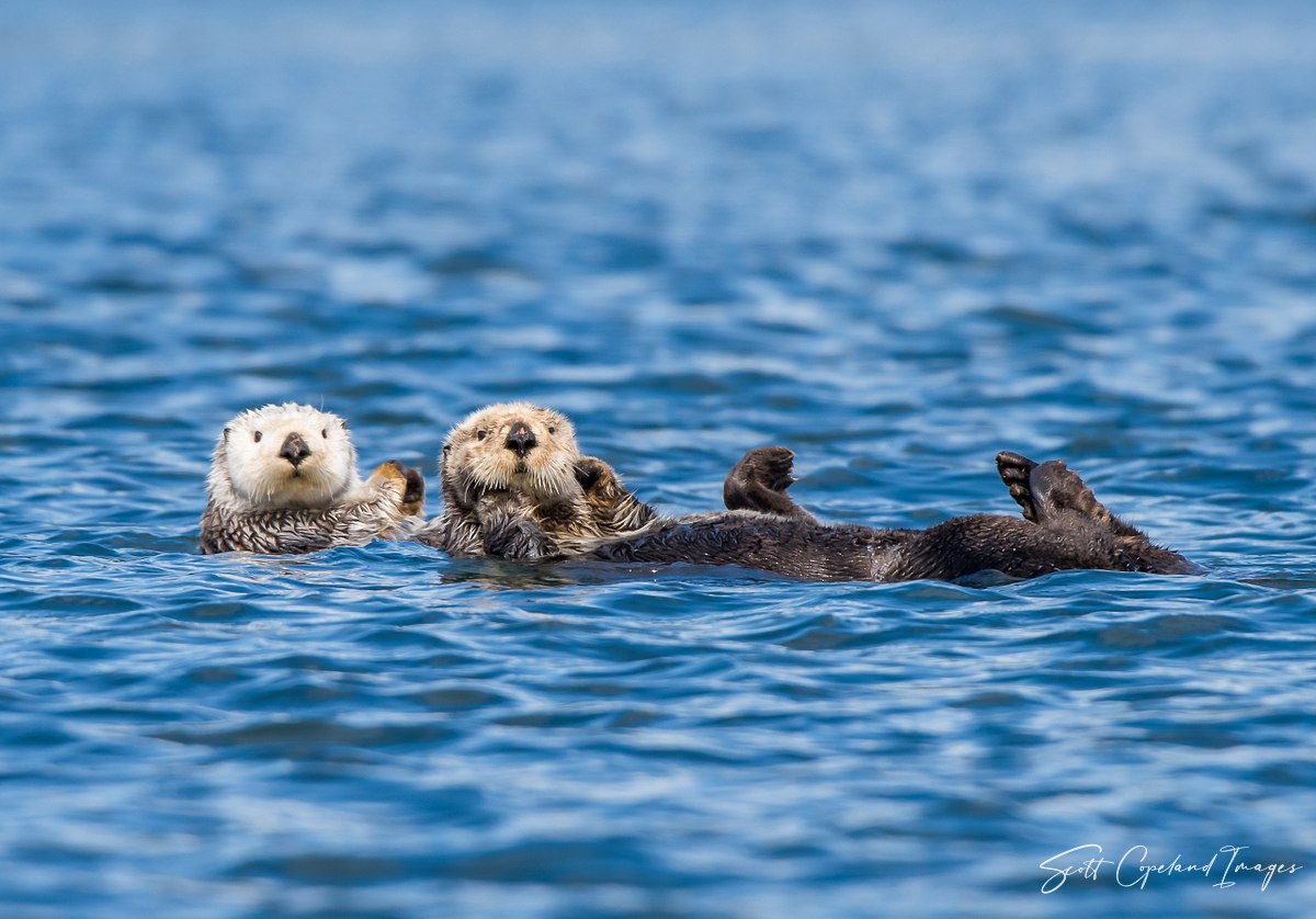 Just Floatin'