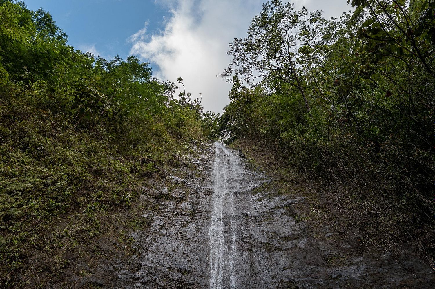 William Shihyung Kim Photos