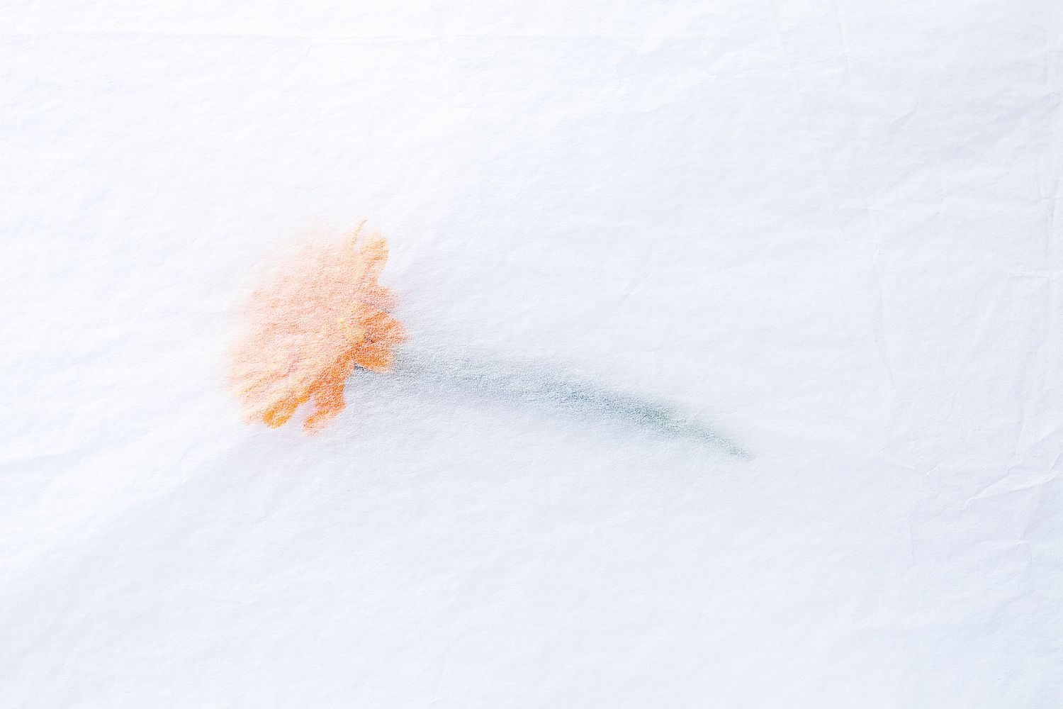 Jos&eacute; Javier Gonz&aacute;lez