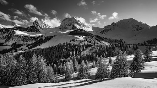 Bergblick auf dem Gurnigel