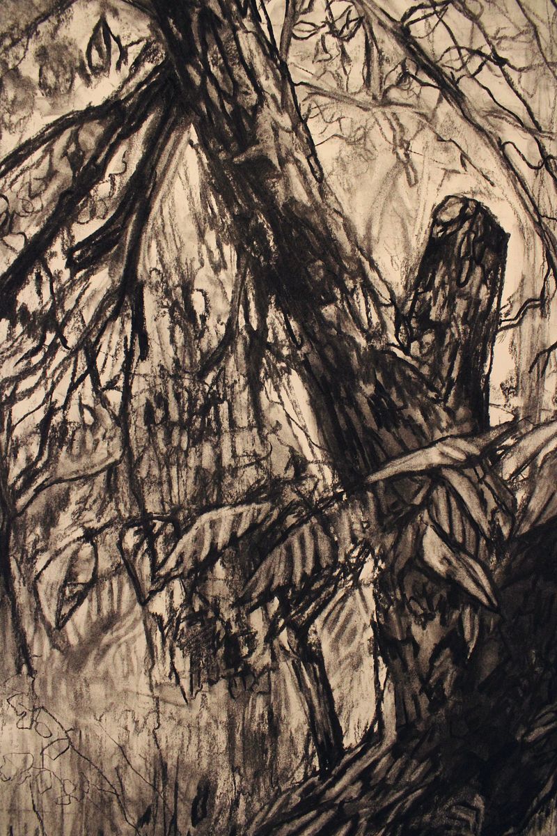 along our path: spring