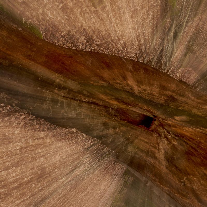 Abstracte natuurfotografie (4 juli 2026)