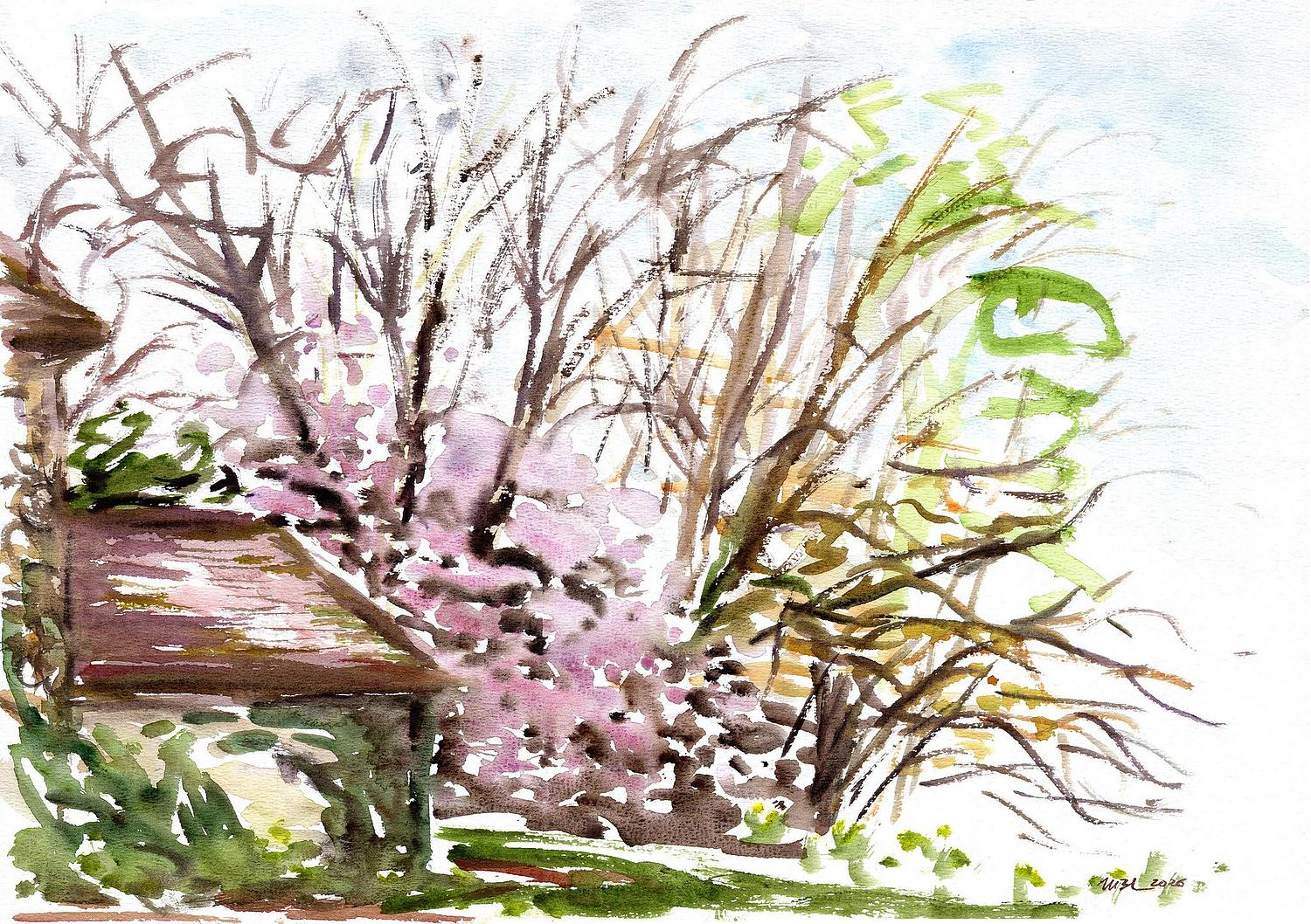 Magnolia en fleurs adoss&eacute; &agrave; la maison dans le parc de l'Ile-Verte &agrave; Chatenay-Malabry