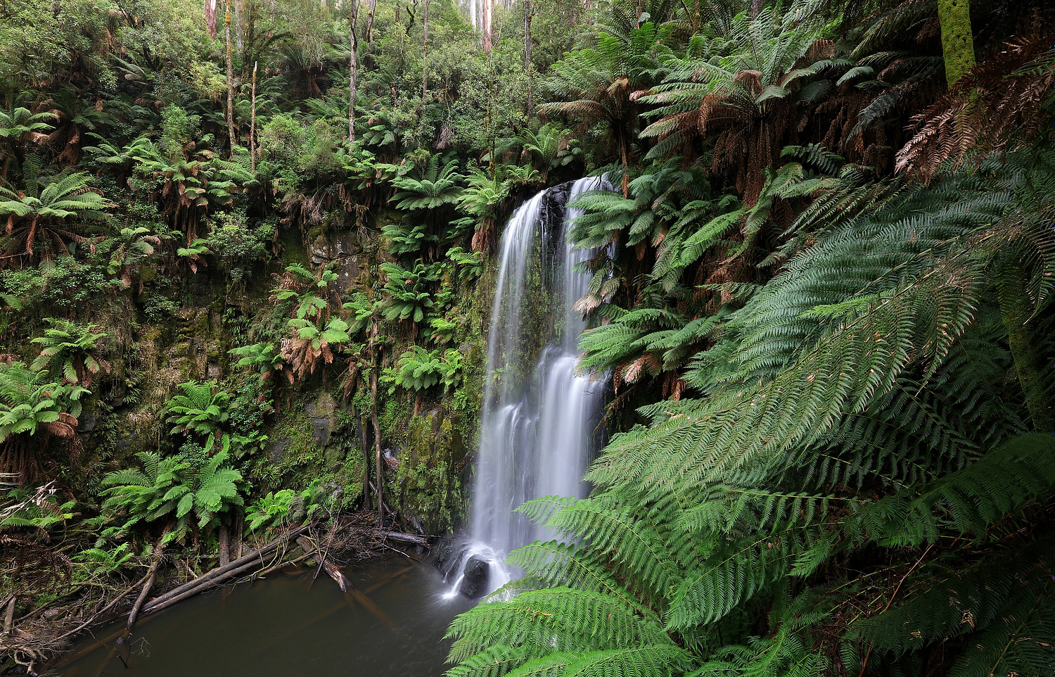 -World Wild Wonders-