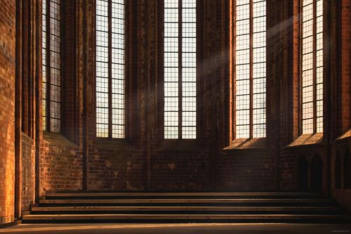 fotowalks & offene fotoworkshops