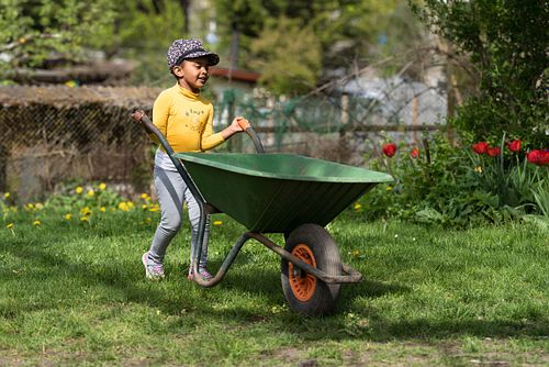 Im HEKS-Garten Burgdorf