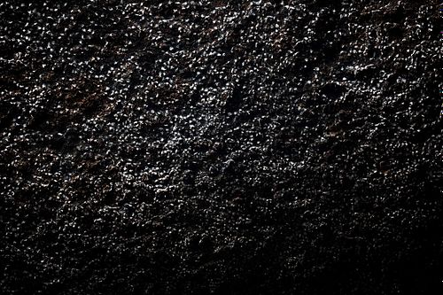 Aerodromus sp. - Dunkle Salanganen, essbare Vogelnester