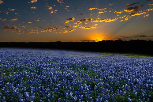 Essays and Perspectives