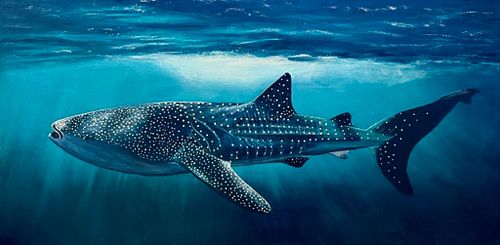 <h3 style="color:Black;">Membership</h3>