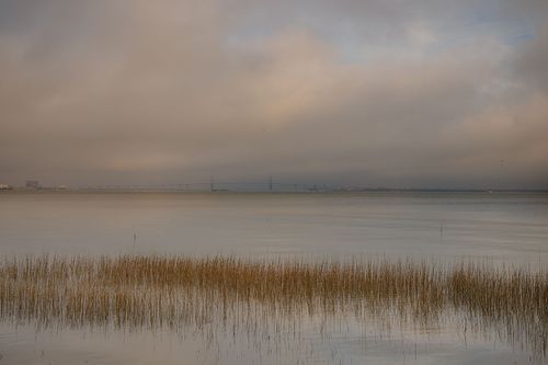 Misty Morning Marsh in Charleston