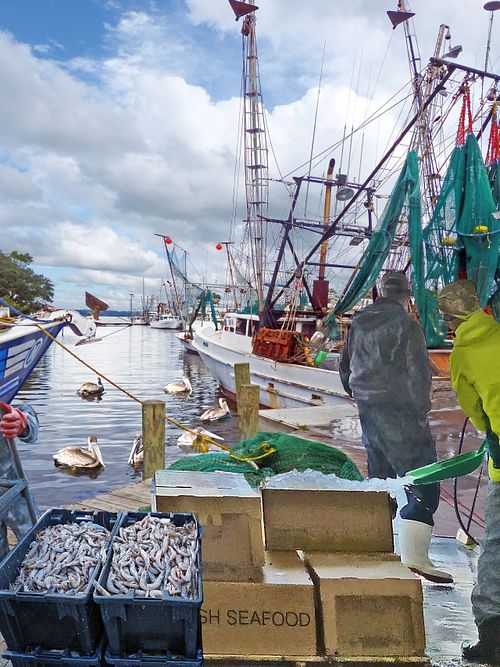 Shrimpers fisherman unloading, seascape