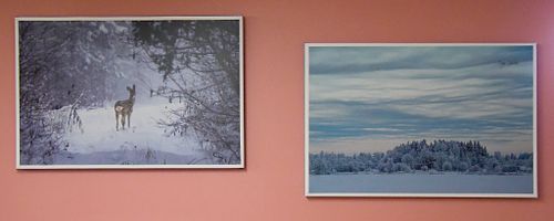 Telli lõuendipilt seinale