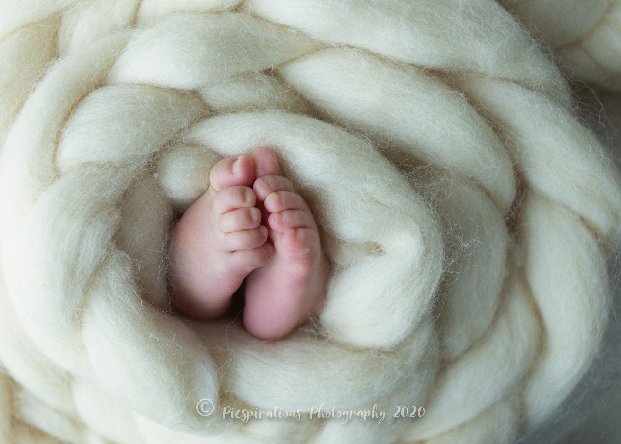 Newborn Photography - Picspirations Photography (3)
