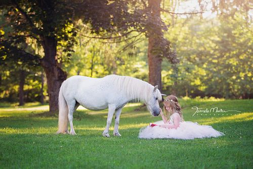 Mini & Specialty Sessions