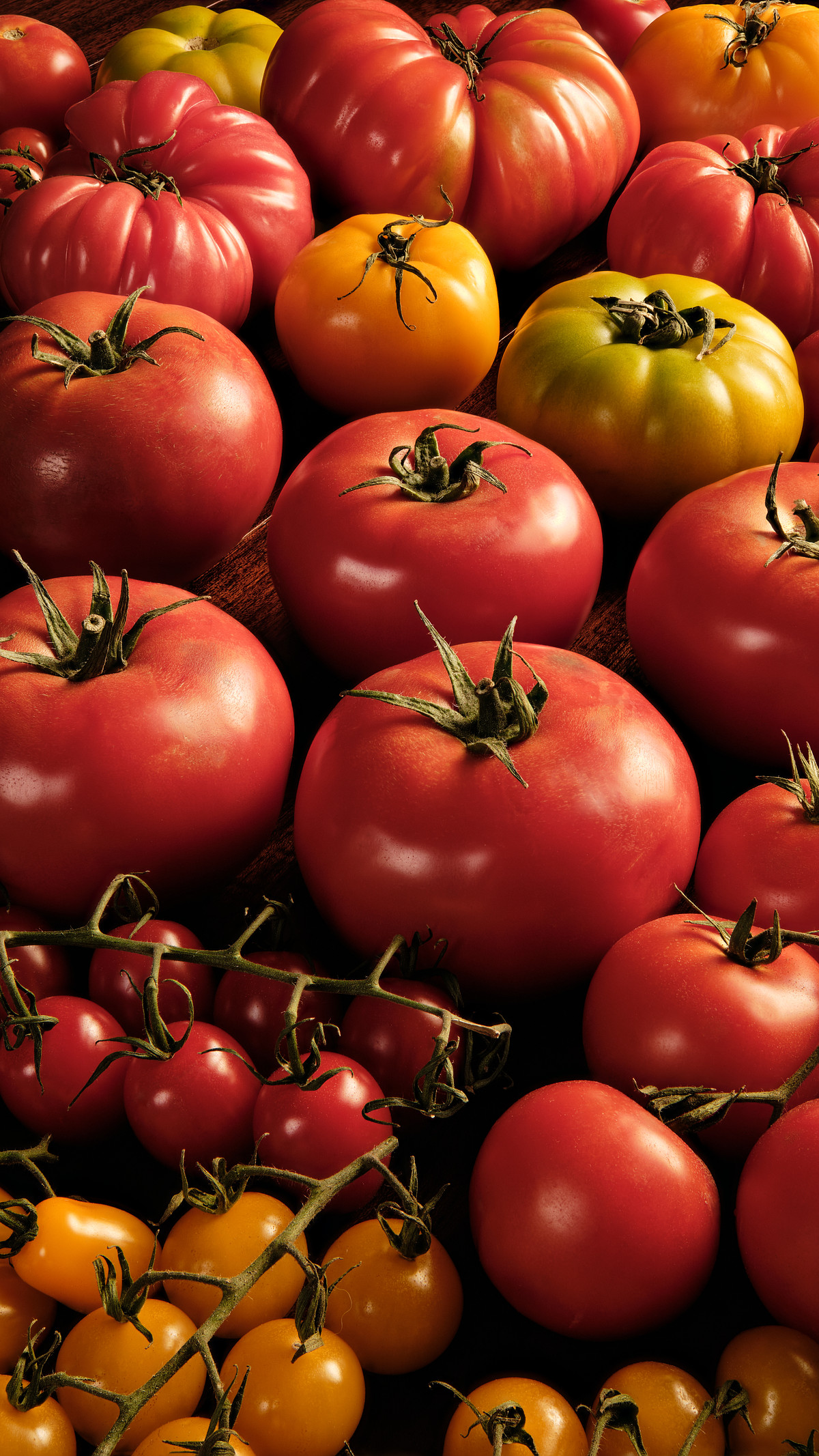 Focus stacked image of various types of tomatoes.