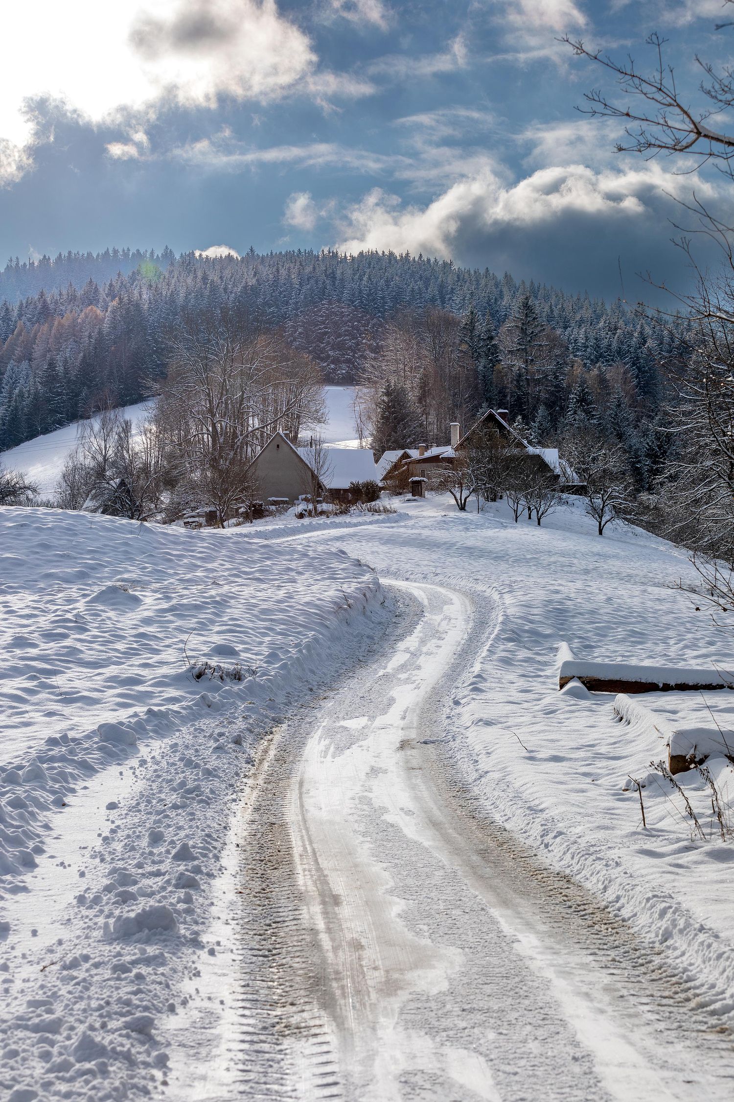 Podtate sous la neige