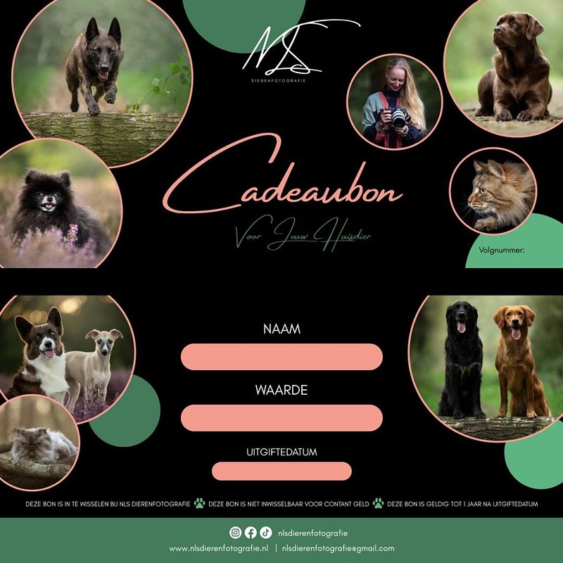 Een origineel cadeau voor huisdiereneigenaren: een fotoshoot met hun dier