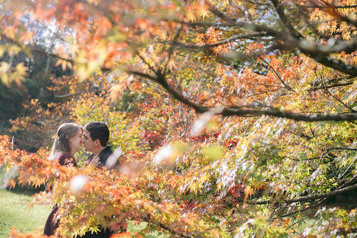 Pre-Wedding Portraits at Nooroo Garden