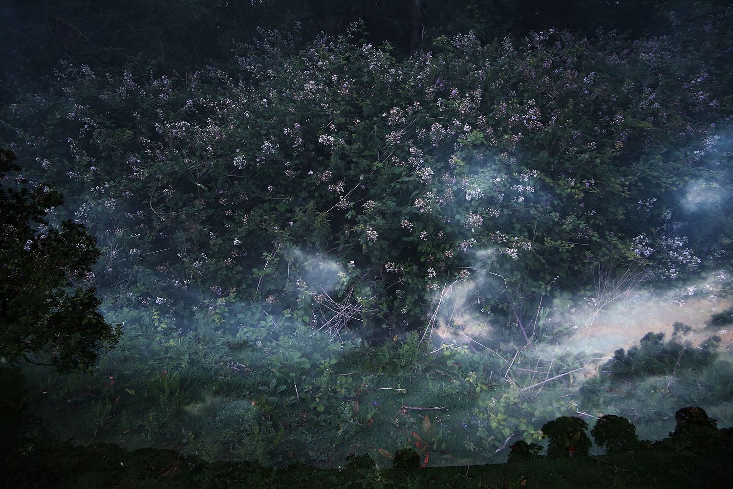 David Foster Art Artist Photography Photographer Reading