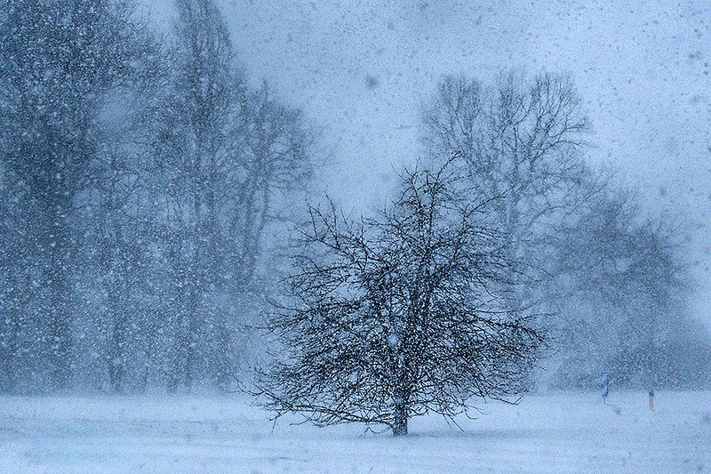 Kevadine aprill tõi ühe hetkega lume maha.