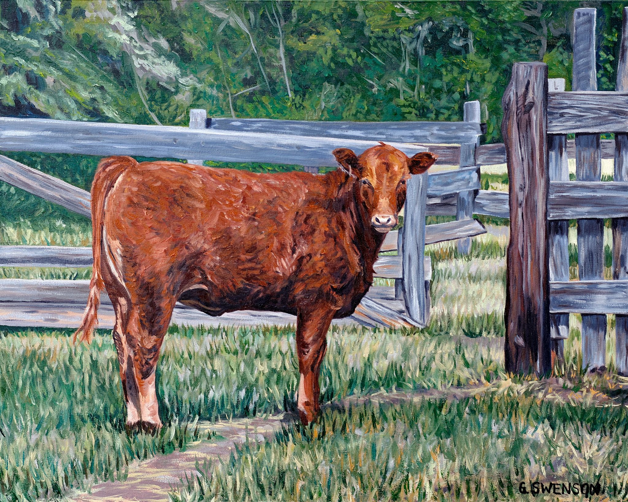 Brown Cow