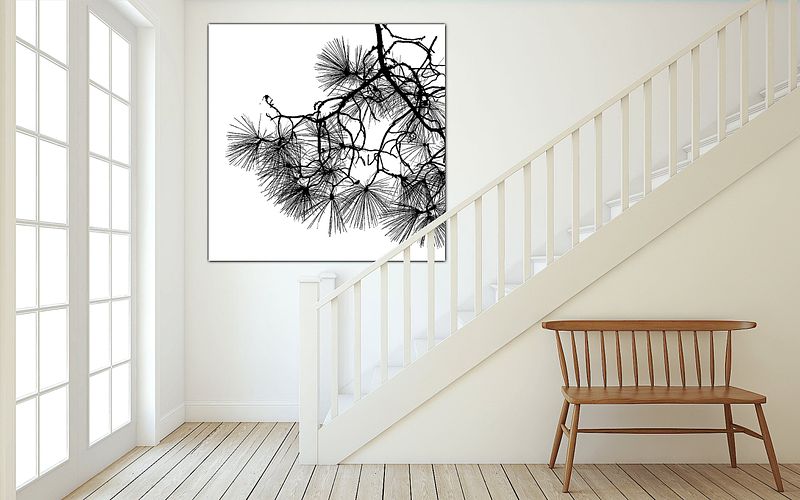 Inktkalligrafie van de Pinus